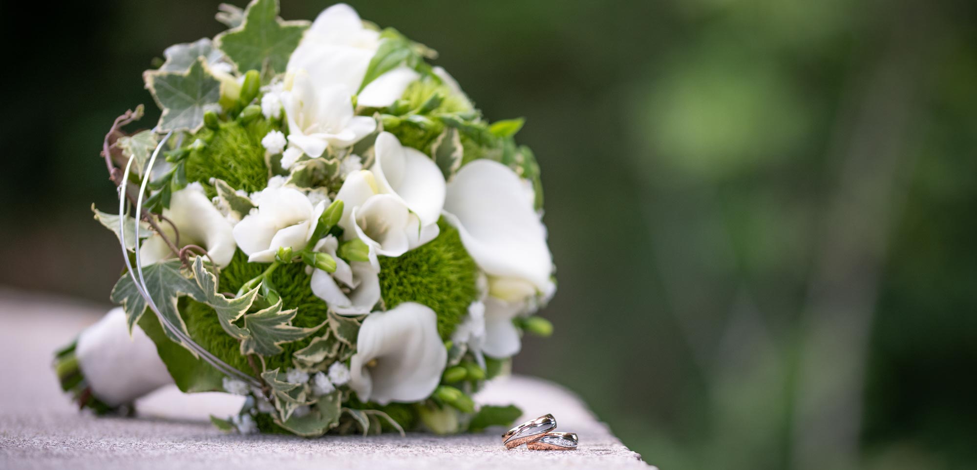 Hochzeitsfotograf Wiener Neustadt, Hochzeitsfotograf Baden bei Wien