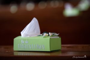 Hochzeitsfotograf Wiener Neustadt, Hochzeitsfotograf Baden bei Wien, Hochzeitsfotograf Neunkirchen und Lanzenkirchen Umgebung