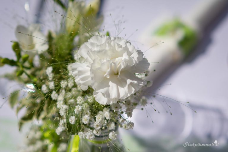 Hochzeitsfotograf Wiener Neustadt, Baden bei Wien & Umgebung Ich bin Ihr Hochzeitsfotograf in Wiener Neustadt, Baden bei Wien und der Umgebung. Mit viel Erfahrung und Liebe zum Detail halte ich die schönsten Momente Ihrer Hochzeit in authentischen, emotionalen Fotos fest. Zusätzlich können Sie im Raum Wiener Neustadt, Baden bei Wien und Umgebung eine Fotobox für Ihre Feier mieten – für noch mehr Spaß und unvergessliche Erinnerungen. Vertrauen Sie auf meine Expertise, um Ihre Hochzeitsbilder perfekt in Szene zu setzen.