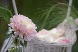Hochzeitsfotograf Wiener Neustadt, Hochzeitsfotograf Baden bei Wien