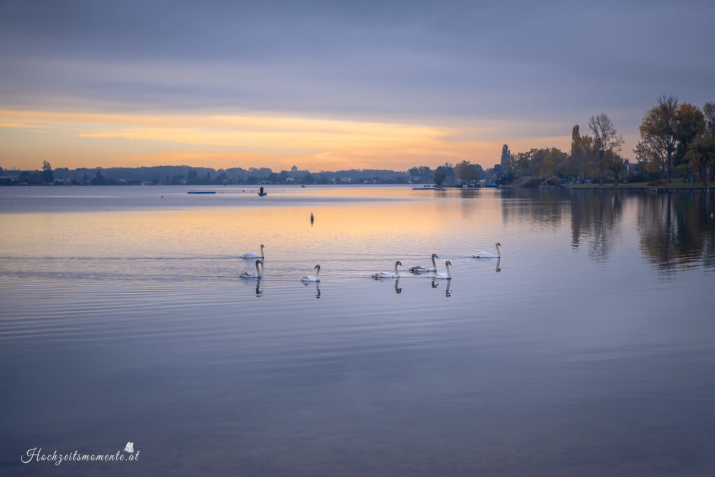 Hochzeit am See Neufeldersee