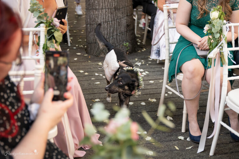 Hochzeitsfotograf Mödling, Baden bei Wien & Umgebung Als erfahrener Hochzeitsfotograf in Mödling, Baden bei Wien und Umgebung fange ich die schönsten Momente Ihres großen Tages in authentischen, emotionalen Bildern ein. Mit viel Liebe zum Detail und einem sicheren Auge für besondere Augenblicke, halte ich die unvergesslichen Erinnerungen an Ihre Hochzeit fest – ganz nach Ihren Wünschen und mit viel Herz. Vertrauen Sie auf meine jahrelange Erfahrung und lassen Sie sich von meinen Hochzeitsfotos verzaubern! Hochzeitsfotograf Wiener Neustadt, Hochzeitsfotograf Baden bei Wien, Hochzeitsfotograf Wien, Kursalon Mödling