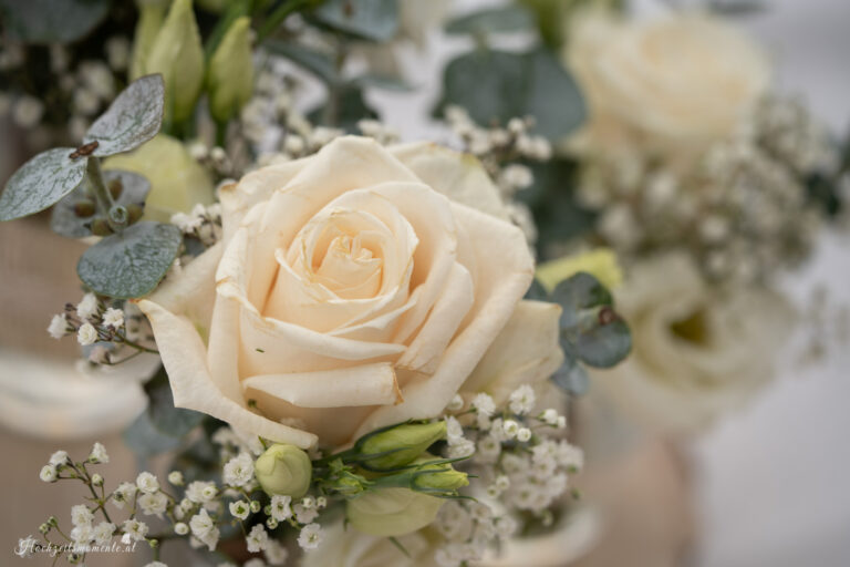 Hochzeitsfotograf Wiener Neustadt, Hochzeitsfotograf Baden bei Wien, Hochzeitsfotograf Wien,