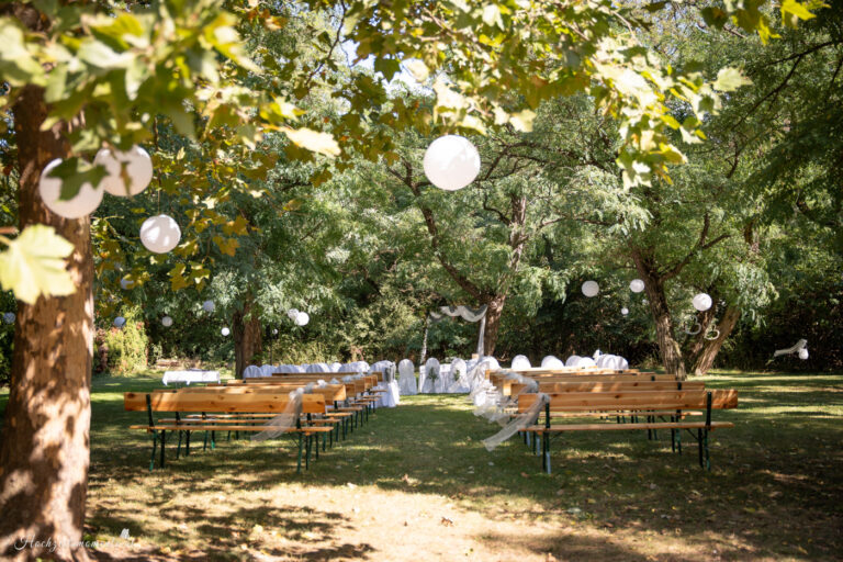 Hochzeitsfotograf Wiener Neustadt, Hochzeitsfotograf Baden bei Wien, Hochzeitsfotograf Wien,