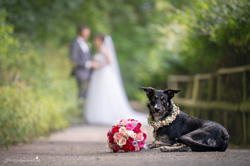 Hochzeitsfotograf Mödling, Baden bei Wien & Umgebung Als erfahrener Hochzeitsfotograf in Mödling, Baden bei Wien und Umgebung fange ich die schönsten Momente Ihres großen Tages in authentischen, emotionalen Bildern ein. Mit viel Liebe zum Detail und einem sicheren Auge für besondere Augenblicke, halte ich die unvergesslichen Erinnerungen an Ihre Hochzeit fest – ganz nach Ihren Wünschen und mit viel Herz. Vertrauen Sie auf meine jahrelange Erfahrung und lassen Sie sich von meinen Hochzeitsfotos verzaubern! Hochzeitsfotograf Wiener Neustadt, Hochzeitsfotograf Baden bei Wien, Hochzeitsfotograf Wien, Kursalon Mödling