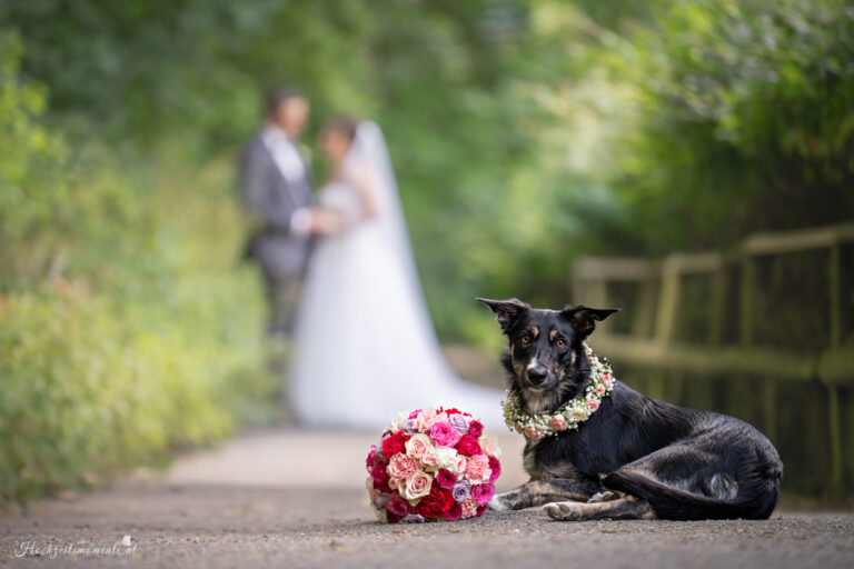 Hochzeitsfotograf Mödling, Baden bei Wien & Umgebung Als erfahrener Hochzeitsfotograf in Mödling, Baden bei Wien und Umgebung fange ich die schönsten Momente Ihres großen Tages in authentischen, emotionalen Bildern ein. Mit viel Liebe zum Detail und einem sicheren Auge für besondere Augenblicke, halte ich die unvergesslichen Erinnerungen an Ihre Hochzeit fest – ganz nach Ihren Wünschen und mit viel Herz. Vertrauen Sie auf meine jahrelange Erfahrung und lassen Sie sich von meinen Hochzeitsfotos verzaubern! Hochzeitsfotograf Wiener Neustadt, Hochzeitsfotograf Baden bei Wien, Hochzeitsfotograf Wien, Kursalon Mödling