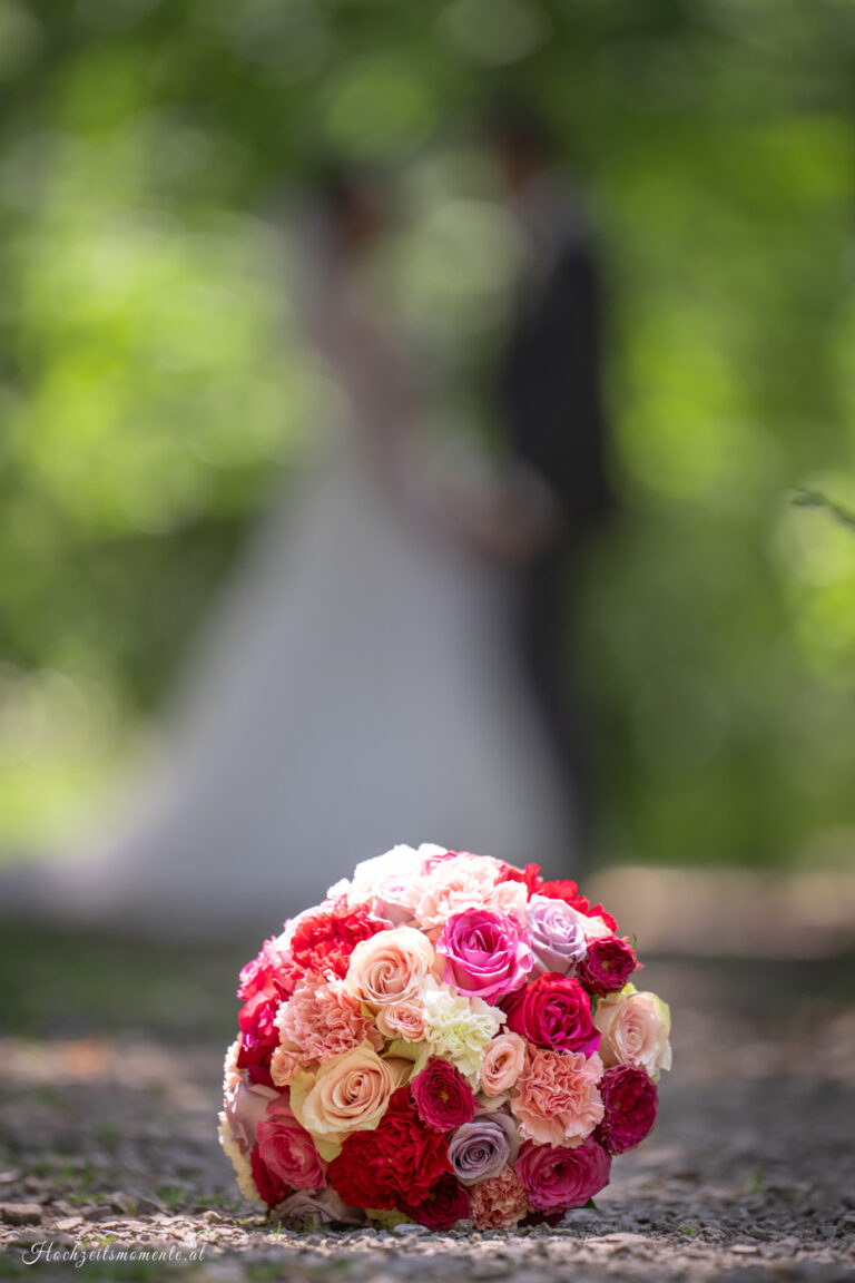 Hochzeitsfotograf Wiener Neustadt, Hochzeitsfotograf Baden bei Wien, Hochzeitsfotograf Wien,
