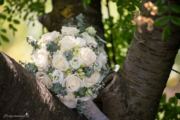 Hochzeitsfotograf Wiener Neustadt, Hochzeitsfotograf Baden bei Wien, Hochzeitsfotograf Wien, Rosarium baden bei Wien