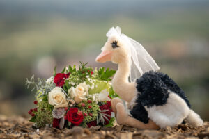 Hochzeitsfotograf Mödling, Baden bei Wien & Umgebung Als erfahrener Hochzeitsfotograf in Mödling, Baden bei Wien und Umgebung fange ich die schönsten Momente Ihres großen Tages in authentischen, emotionalen Bildern ein. Mit viel Liebe zum Detail und einem sicheren Auge für besondere Augenblicke, halte ich die unvergesslichen Erinnerungen an Ihre Hochzeit fest – ganz nach Ihren Wünschen und mit viel Herz. Vertrauen Sie auf meine jahrelange Erfahrung und lassen Sie sich von meinen Hochzeitsfotos verzaubern!