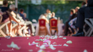 Hochzeitsfotograf Wien Umgebung